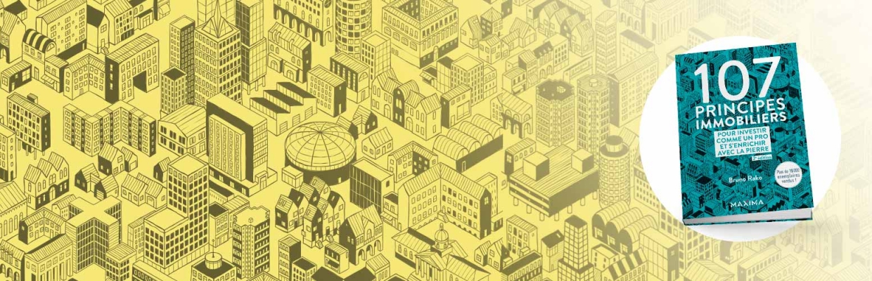 107 principes immobiliers pour investir comme un pro et s'enrichir