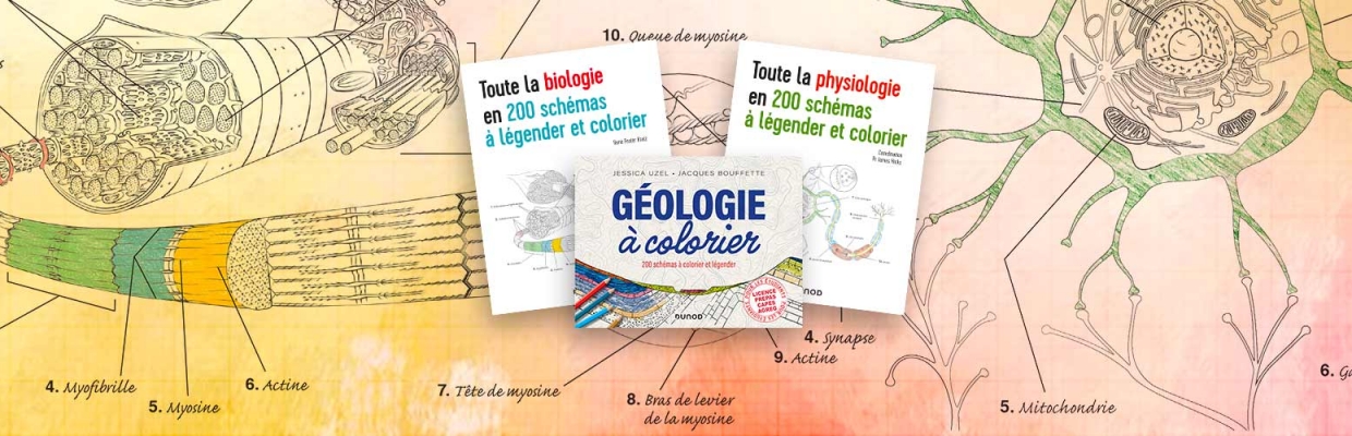 Biologie, physiologie, Géologie, 200 schémas à légender et colorier  pour un apprentissage actif 